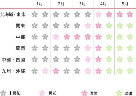 日本櫻花花期預測